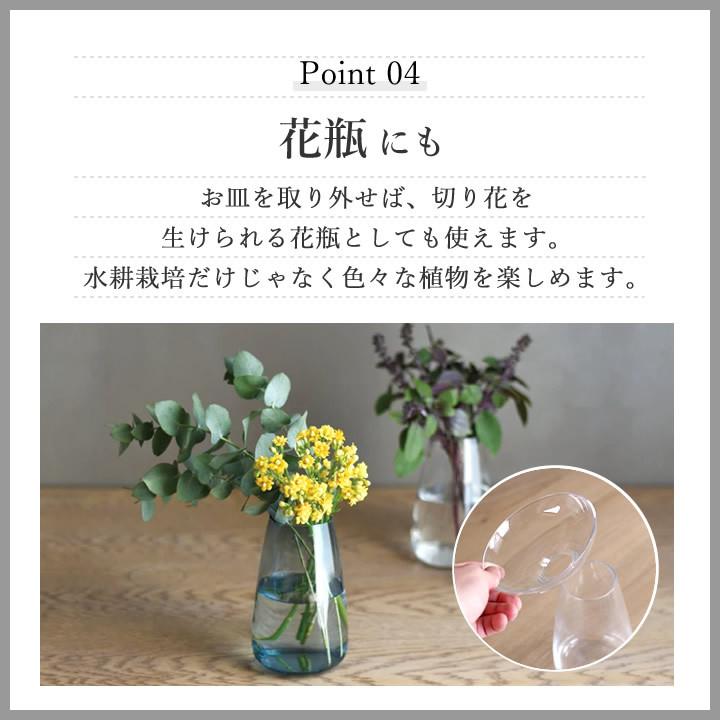 球根 水栽培 アクアカルチャーベース Aqua Culture Vase Lサイズ 1mm Kinto キントー 花瓶 ガラス フラワーベース ヒヤシンス おしゃれ ギフト クッチーナ E6171 3158 キッチン雑貨 インテリア Cucina 通販 Yahoo ショッピング
