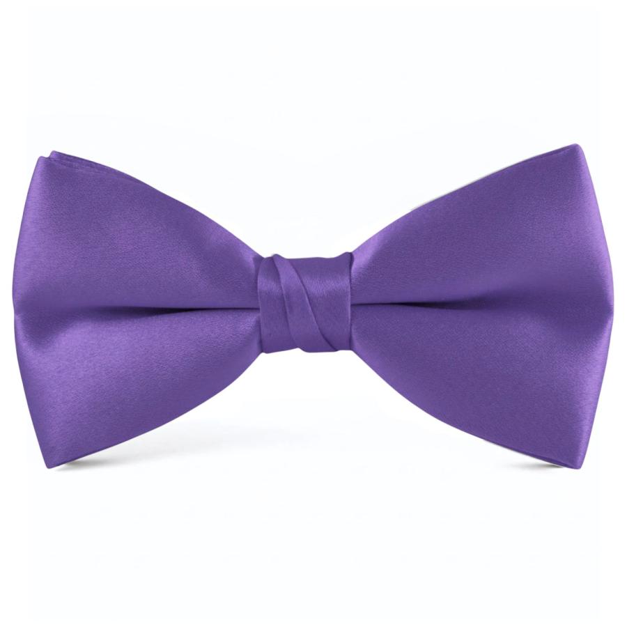 蝶ネクタイ プラム ボウタイ パーティー フォーマル メンズアクセサリー |  | 01