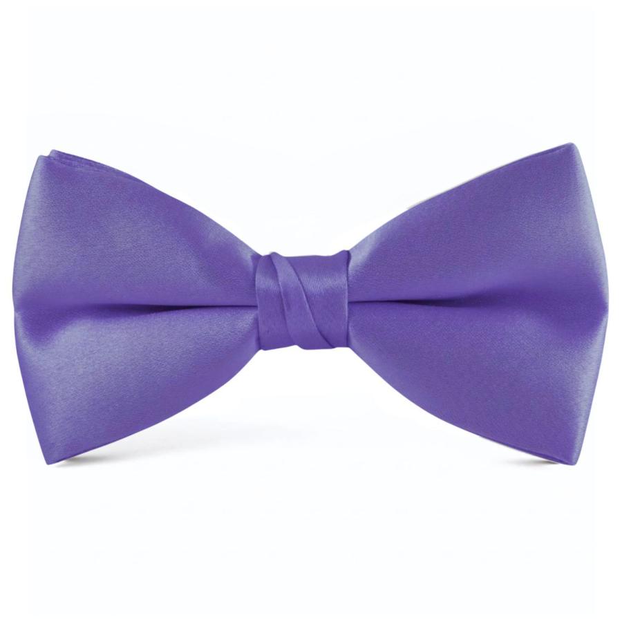 蝶ネクタイ パープル ボウタイ パーティー フォーマル メンズアクセサリー |  | 01