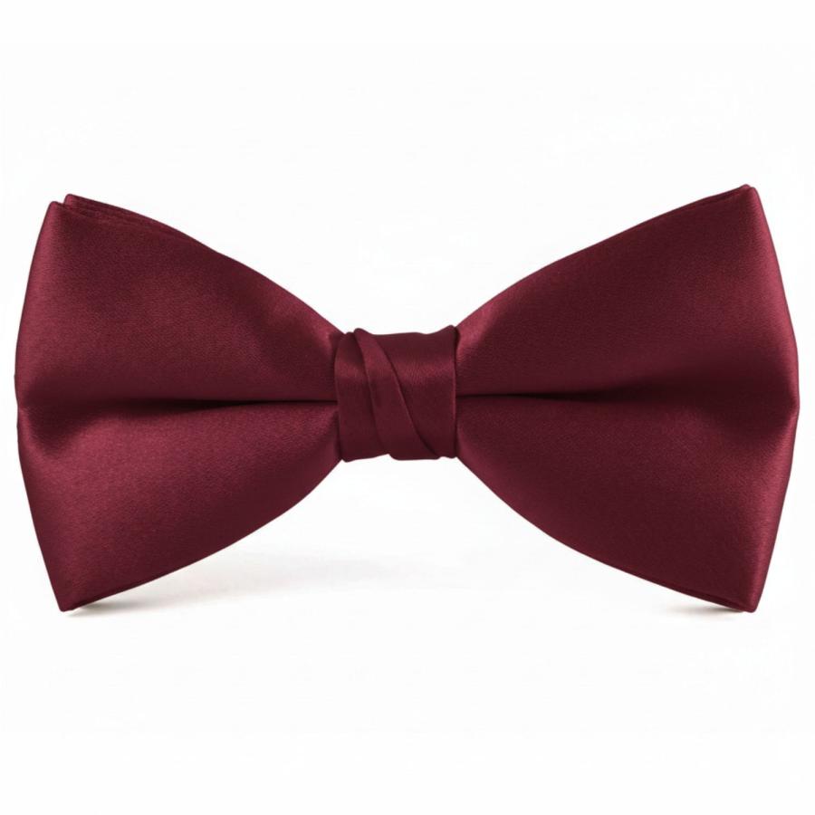 蝶ネクタイ バーガンディー ボウタイ パーティー フォーマル メンズアクセサリー |  | 01