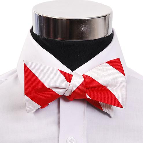 蝶ネクタイ レッド＆ホワイト ボウタイ パーティー フォーマル メンズアクセサリー |  | 01