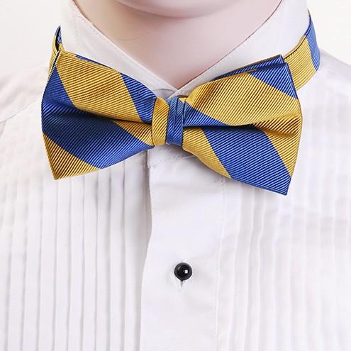 蝶ネクタイ ブルー＆ゴールド ボウタイ パーティー フォーマル メンズアクセサリー |  | 01