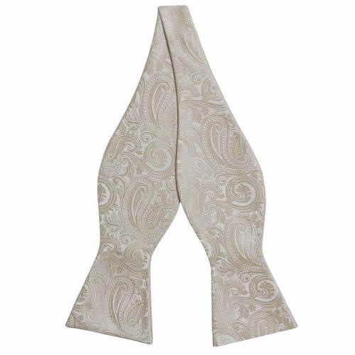 蝶ネクタイ ベージュ ペイズリー ボウタイ パーティー フォーマル メンズアクセサリー |  | 01