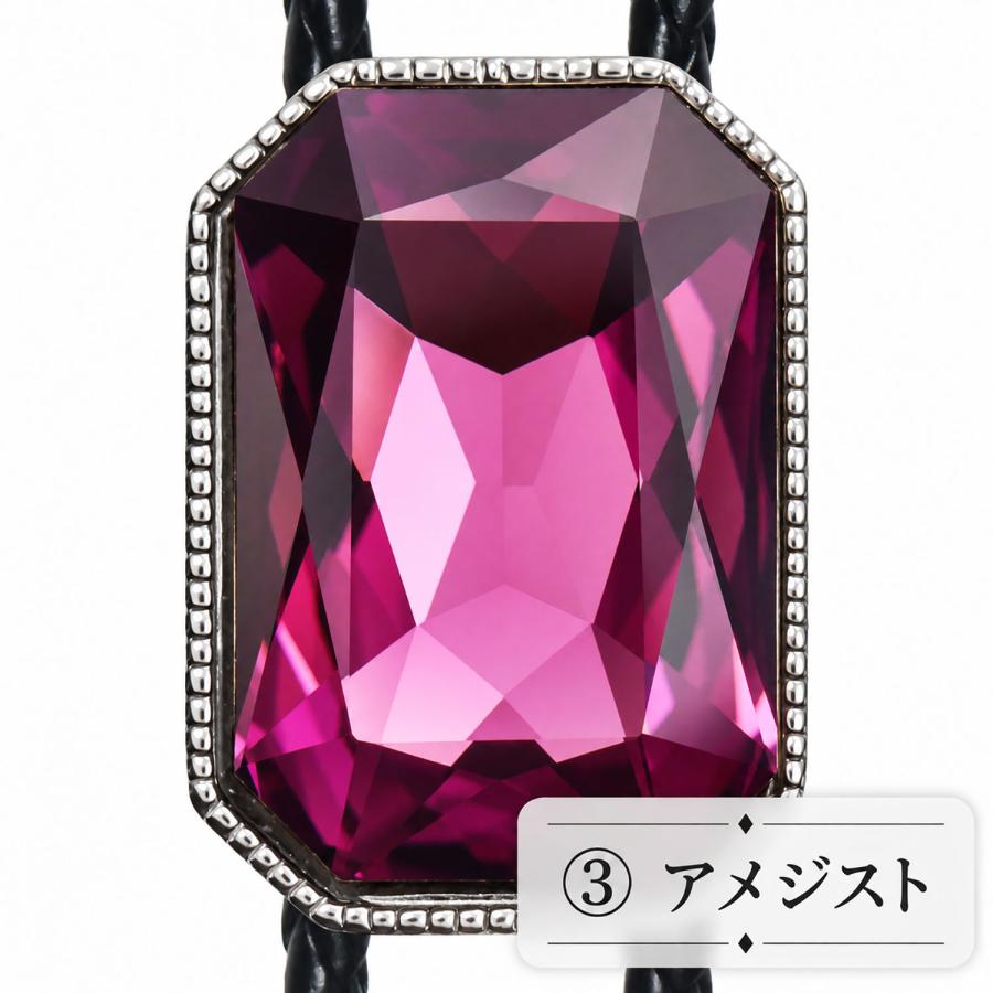 クリスタル SWANK スワンク ループタイ ネックレス ポーラータイ ポロタイ ボロタイ 日本製 | SWANK | 03