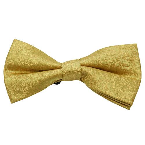 蝶ネクタイセット 蝶ネクタイ ポケットチーフ セット ペイズリー イエロー |  | 02