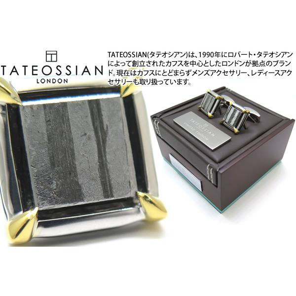 TATEOSSIAN タテオシアン セイムチャンパラサイト隕石クロウズシルバーカフス（2ミクロンゴールドメッキ）世界限定20セット（ブランド カフリンクス） 父の日｜cufflink