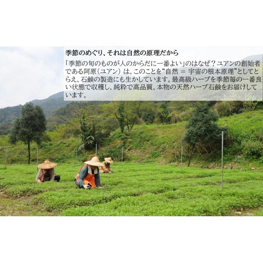 洗顔 無添加 石けん 阿原 YUAN 月桃（げっとう）ソープ 115g ユアン