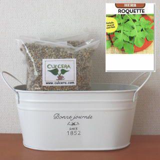 ルッコラ ロケットの栽培セット標準セット 液体肥料なし プランターホワイト 新品