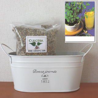 素敵でユニークな スペアミントの栽培セット標準セット 液体肥料なし プランターホワイト