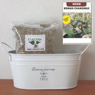 かわいい ローマンカモミールの栽培セット標準セット 液体肥料なし プランターホワイト