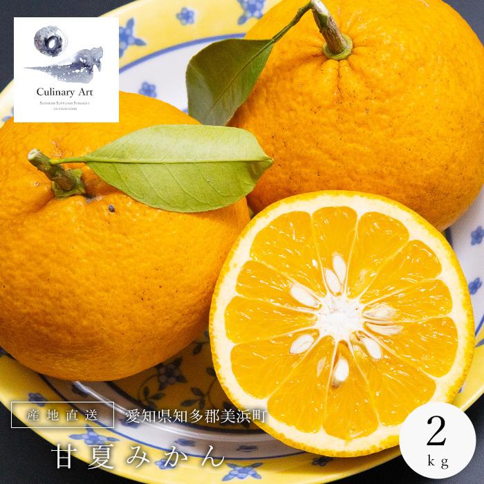 甘夏 みかん 国産 2kg 農薬不使用 化学肥料不使用 産地直送 知多 美浜町 愛知県 送料無料 Amanatu Chita 2 Culinary Art 通販 Yahoo ショッピング