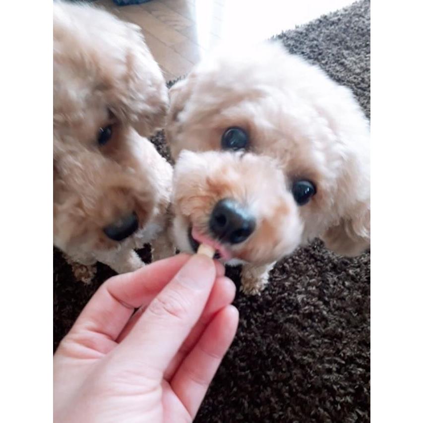 プロポリス入り さつまいもクッキー 60g 犬用 ミルク サプリメント おやつ Spsk カリナン One 通販 Yahoo ショッピング