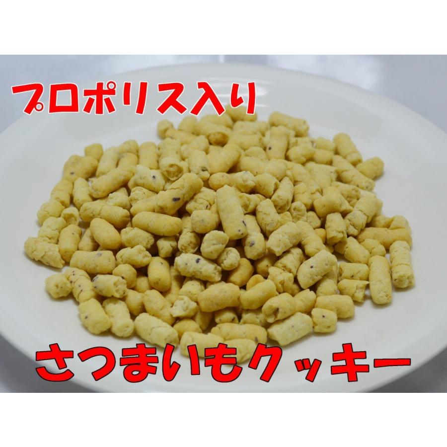 プロポリス入り さつまいもクッキー 300g 犬用 ミルク サプリメント おやつ Stk カリナン One 通販 Yahoo ショッピング