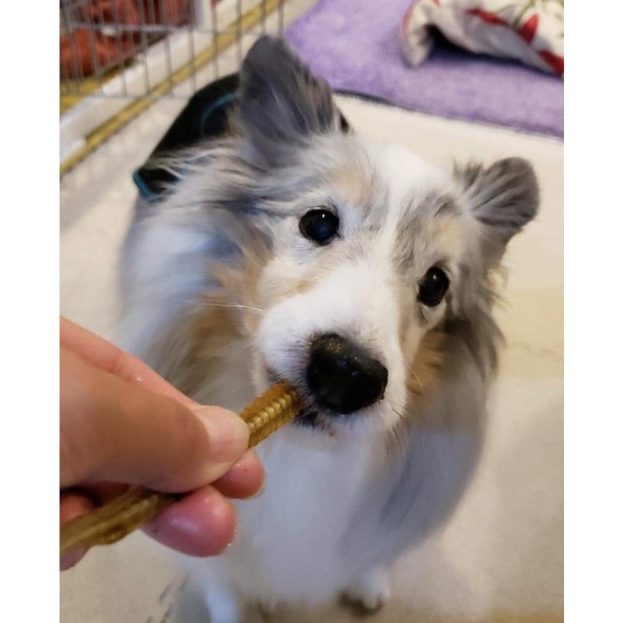 うなぎ骨 70ｇ 無添加 犬用 おやつ Sub カリナン One 通販 Yahoo ショッピング