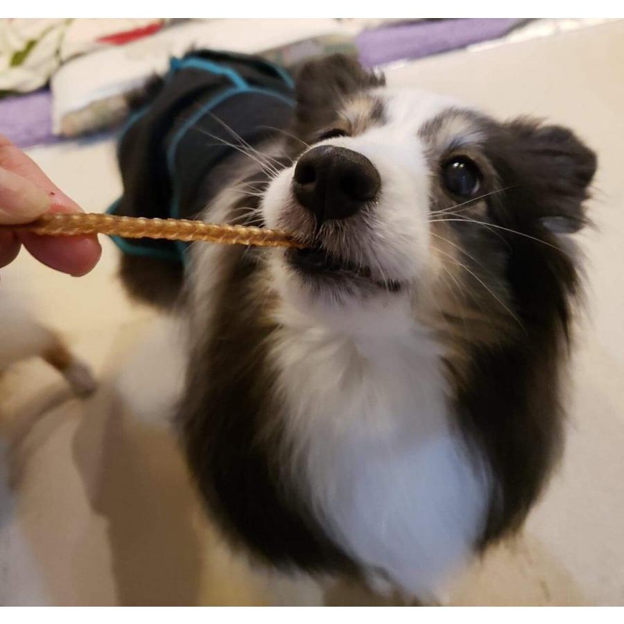 うなぎ骨 70ｇ 無添加 犬用 おやつ Sub カリナン One 通販 Yahoo ショッピング