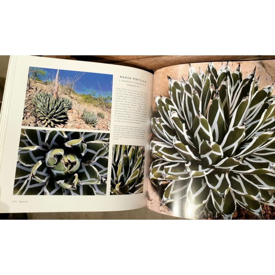 Agaves 新発売 アガベ洋書 アガベ図鑑