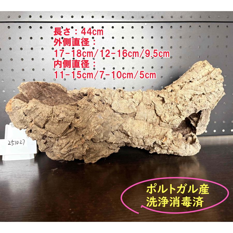 ポルトガル産 キャノンコルク コルク樹皮 コルク板 バージンコルク
