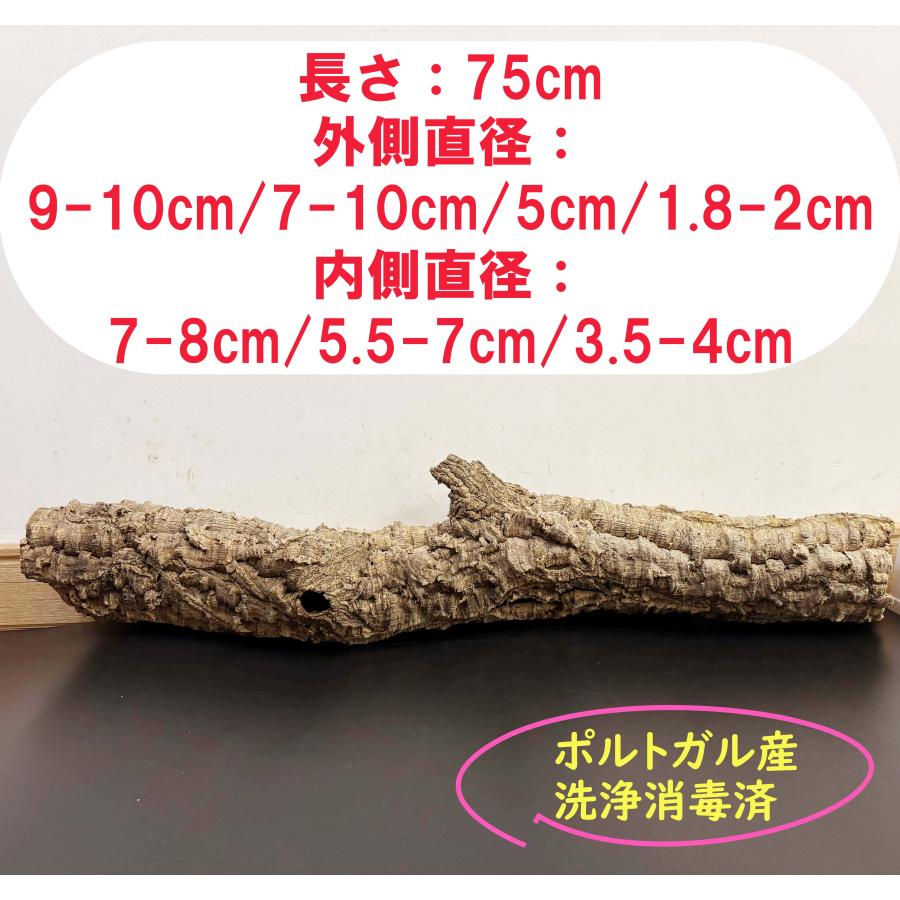 260105 ポルトガル産 キャノンコルク コルク樹皮 コルク板　バージンコルク 260105 ポルトガル産 キャノンコルク コルク樹皮 コルク板 バージン