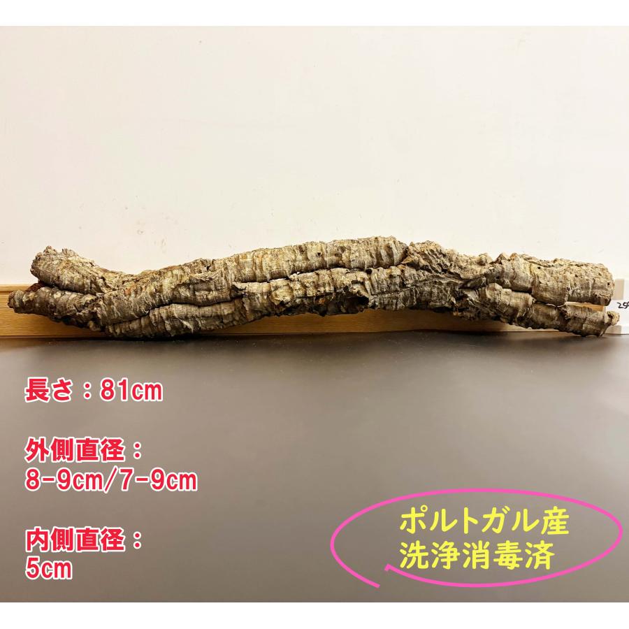 D07 ポルトガル産 キャノンコルク コルク樹皮 コルク板 バージンコルク