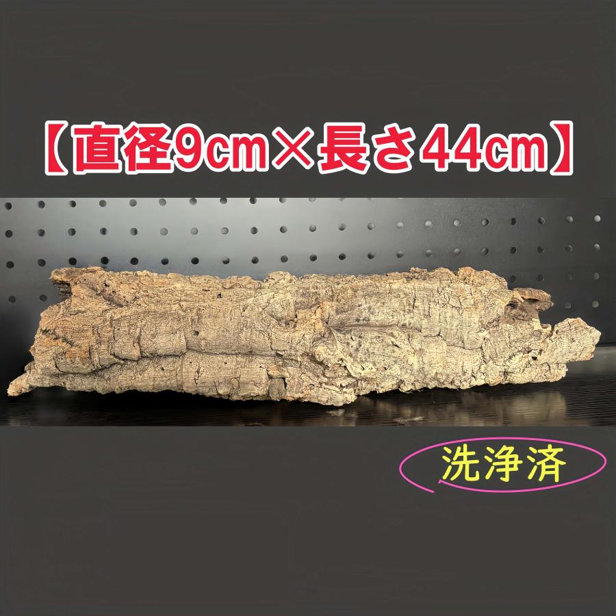 25D718 ポルトガル産 キャノンコルク コルク樹皮 コルク板 バージン
