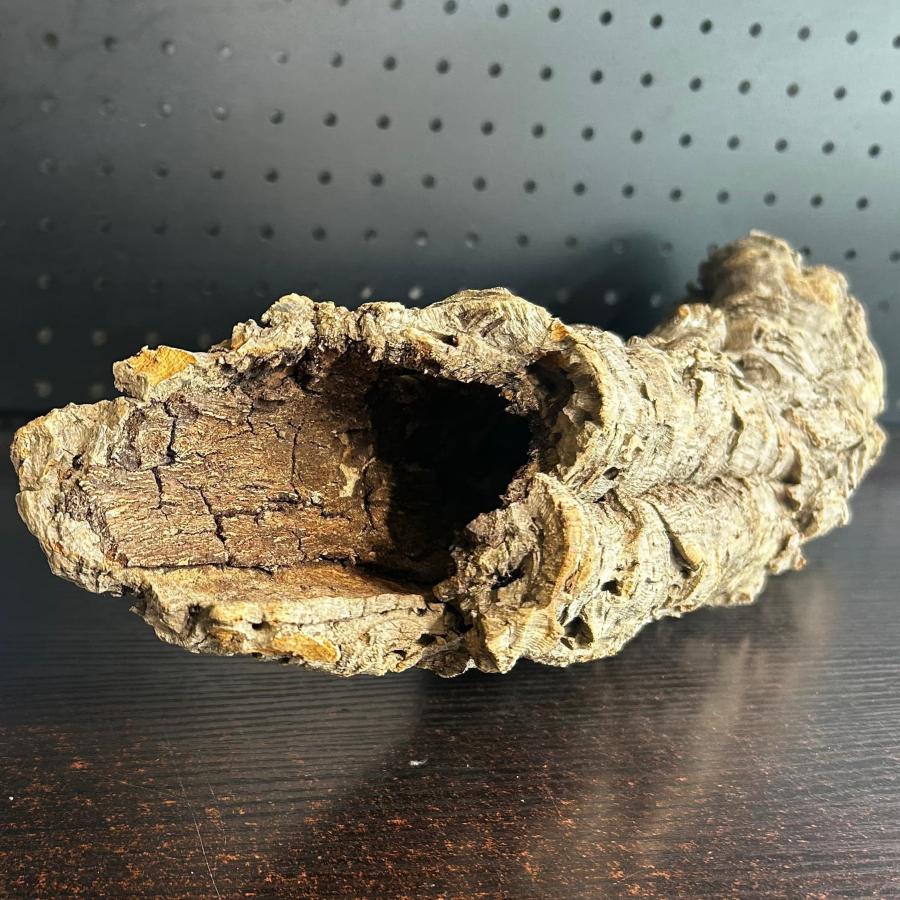 C050 ポルトガル産 キャノンコルク コルク樹皮 コルク板 バージン