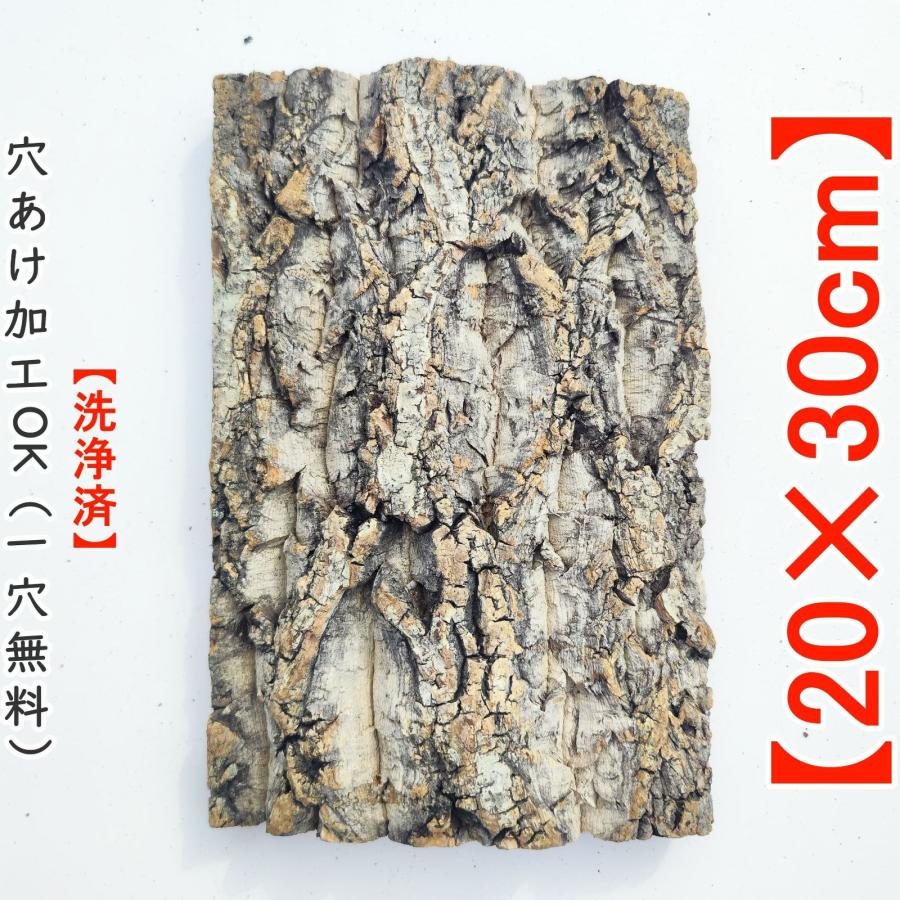 c1117 20×30cm コルク樹皮 コルク板 バージンコルク穴あけ送料無料