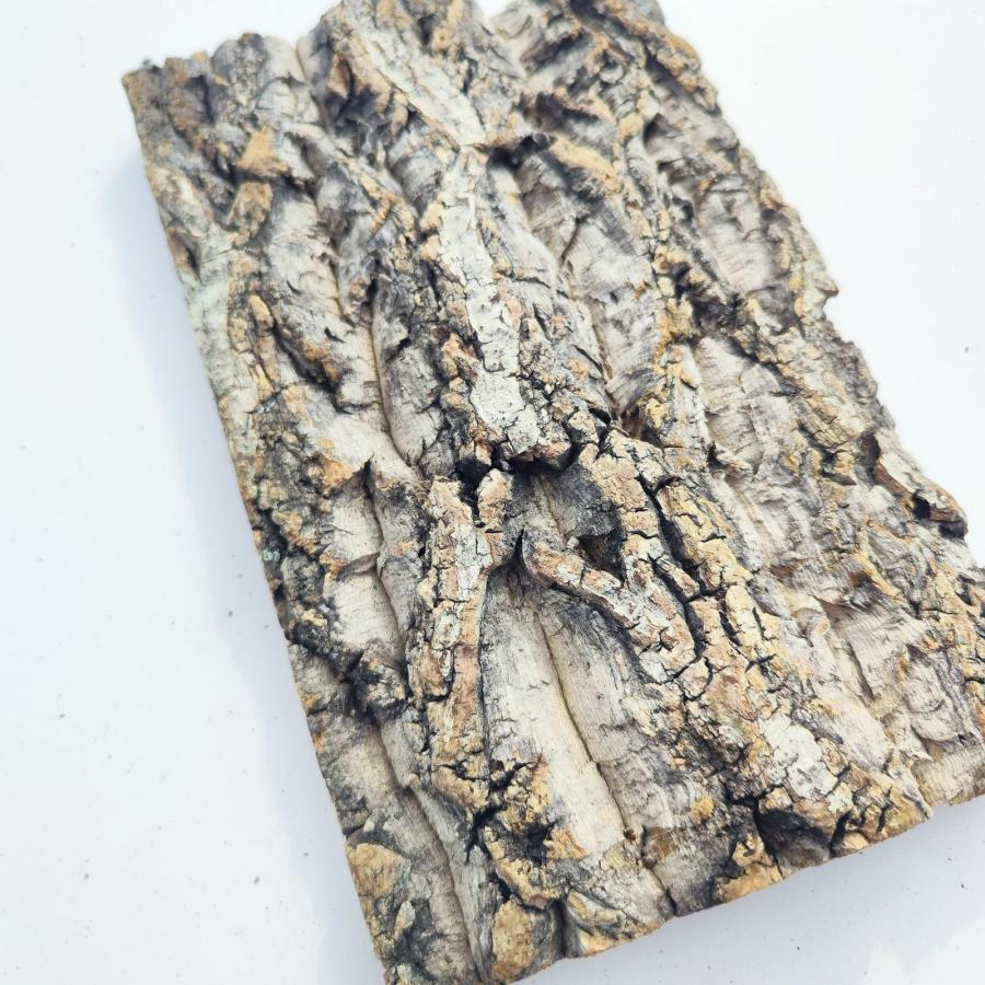 c1117 20×30cm コルク樹皮 コルク板 バージンコルク穴あけ送料無料