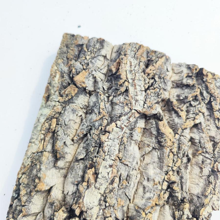 c1117 20×30cm コルク樹皮 コルク板 バージンコルク穴あけ送料無料