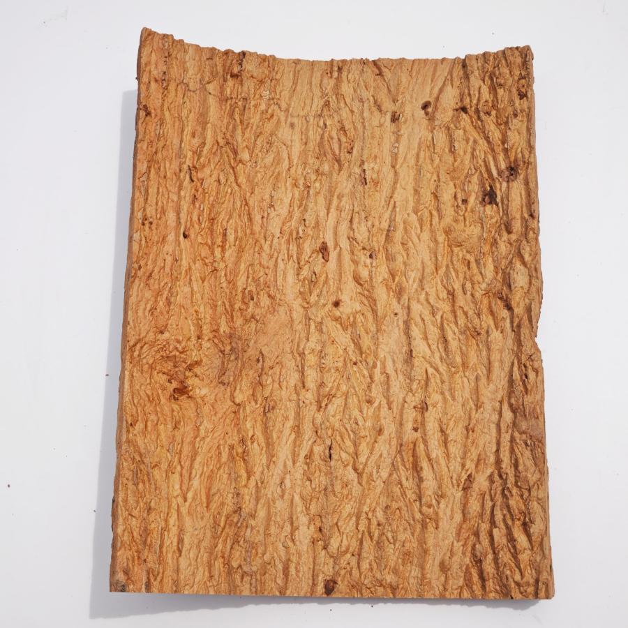 お任せ 30×40cm コルク樹皮 コルク板 バージンコルク チランジア