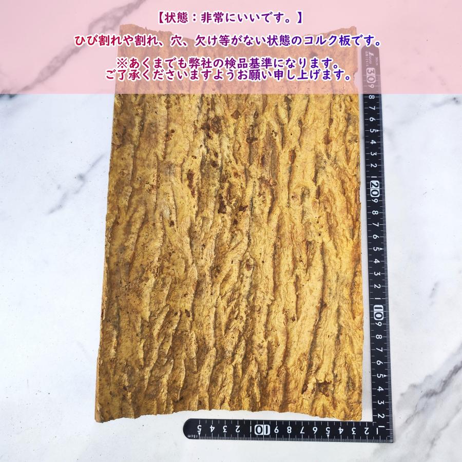 1枚 30×40cm コルク樹皮 コルク板 バージンコルク チランジア