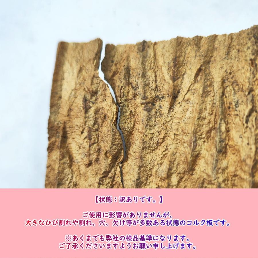 1枚 30×40cm コルク樹皮 コルク板 バージンコルク チランジア