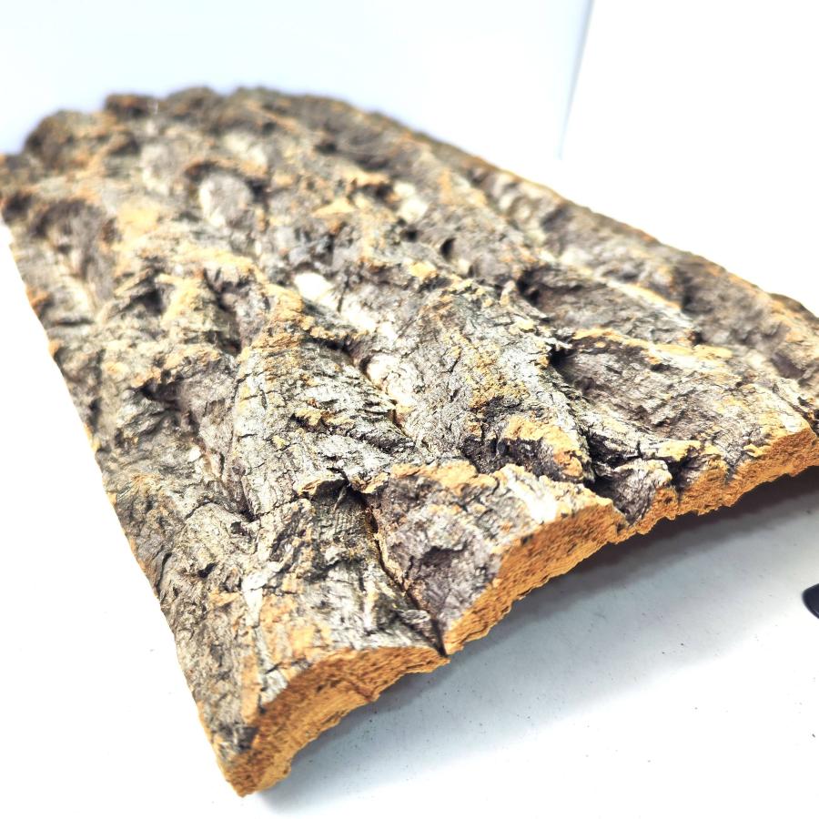 1枚 30×40cm コルク樹皮 コルク板 バージンコルク チランジア