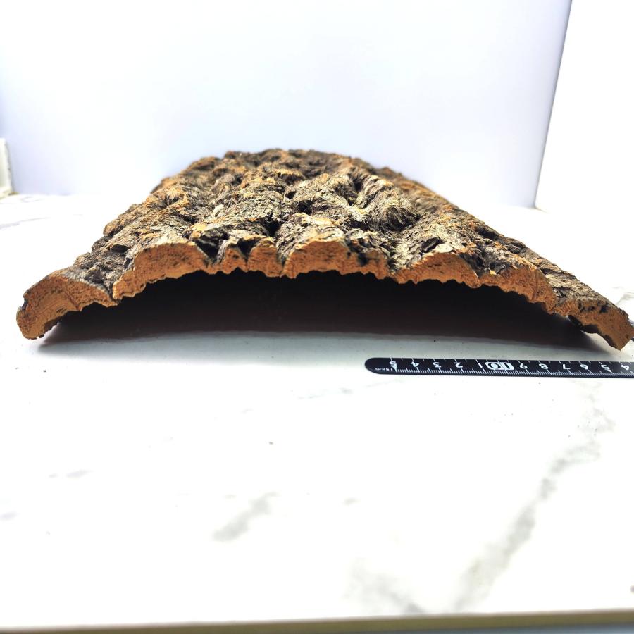 お任せ1枚 30×40cm コルク樹皮 コルク板 バージンコルク チランジア
