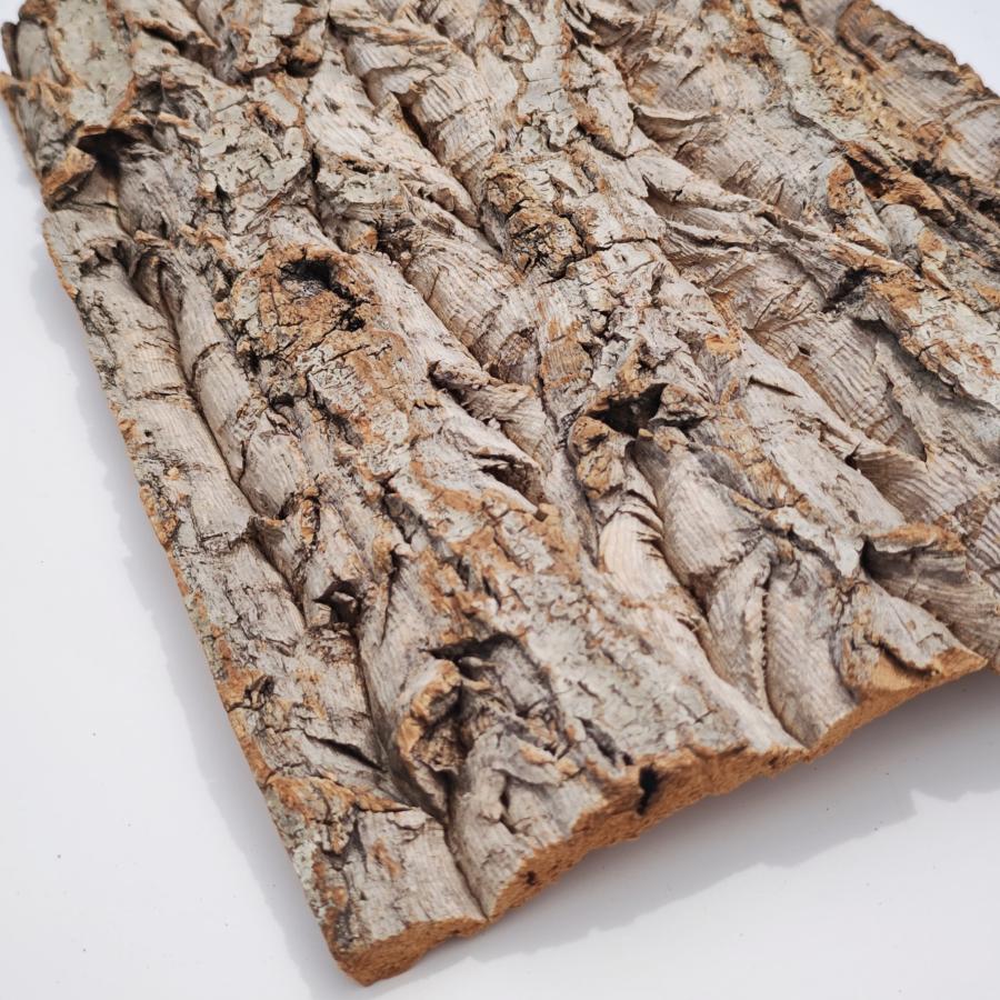 お任せ 30×40cm コルク樹皮 コルク板 バージンコルク チランジア