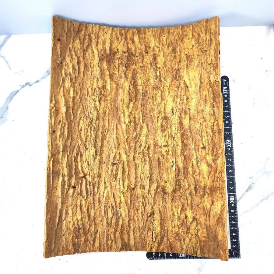 1枚 30×40cm コルク樹皮 コルク板 バージンコルク チランジア