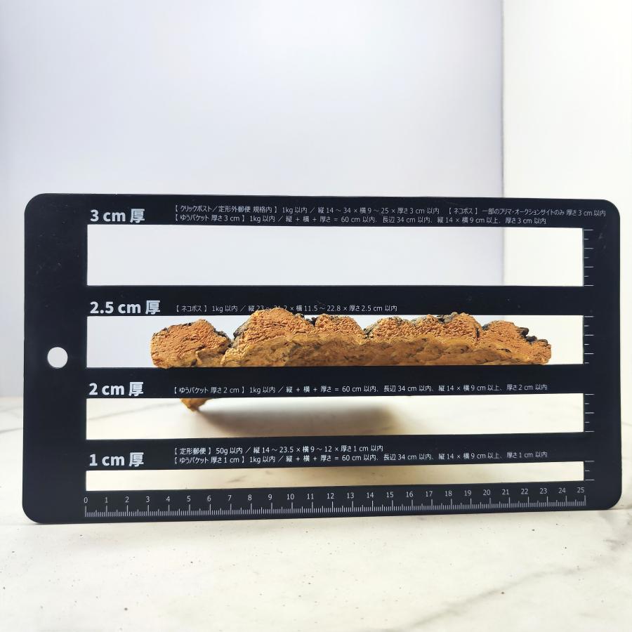 1枚 20×30cm コルク樹皮 コルク板 バージンコルク コルクボード 1枚 20×30cm コルク樹皮 コルク板 バージンコルク コルクボード