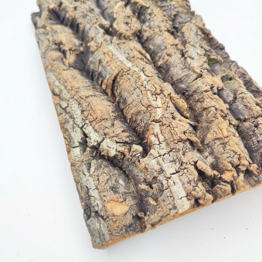 お任せ 20×30cm コルク樹皮 コルク板 バージンコルク チランジア