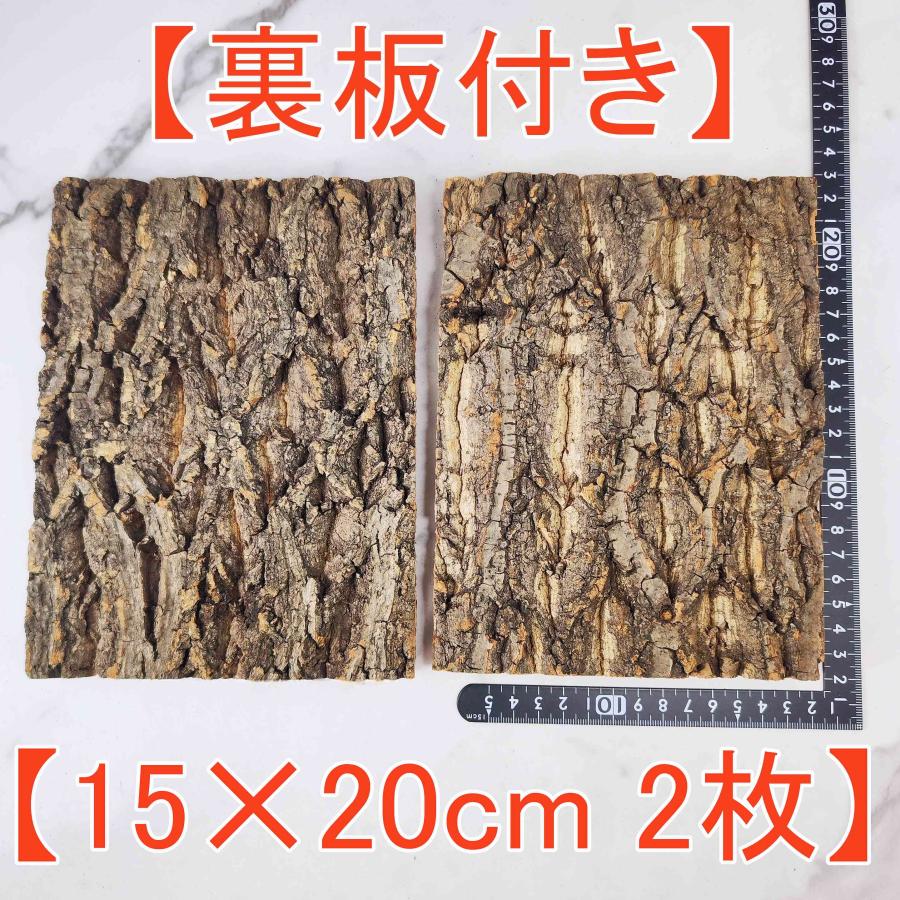 2枚セット 15×20cm 裏板付き コルク樹皮 コルク板 バージンコルク 