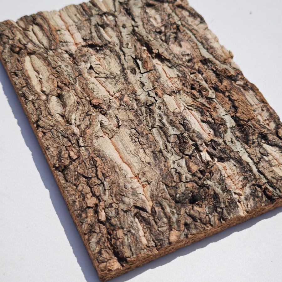 お任せ 裏板付き特殊コルク板 15×20cm 洗浄済 コルク樹皮 バージン