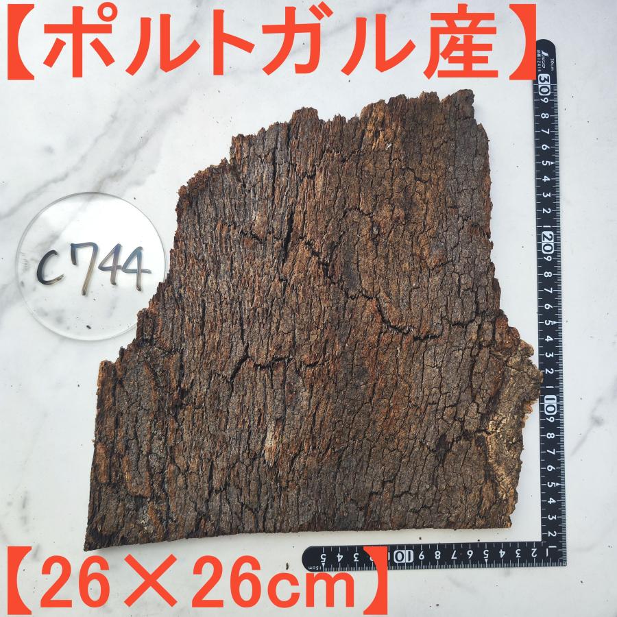 SD1010 ポルトガル産 キャノンコルク コルク樹皮 コルク板 バージン