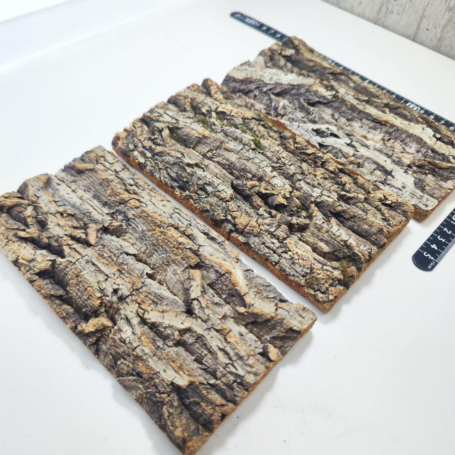 コルク コルク板 板付け 大型 樹皮素材 3点の セットです。 Amazon.co.jp: コルク樹皮 板 20×30cm（厚約10mm以下）3枚