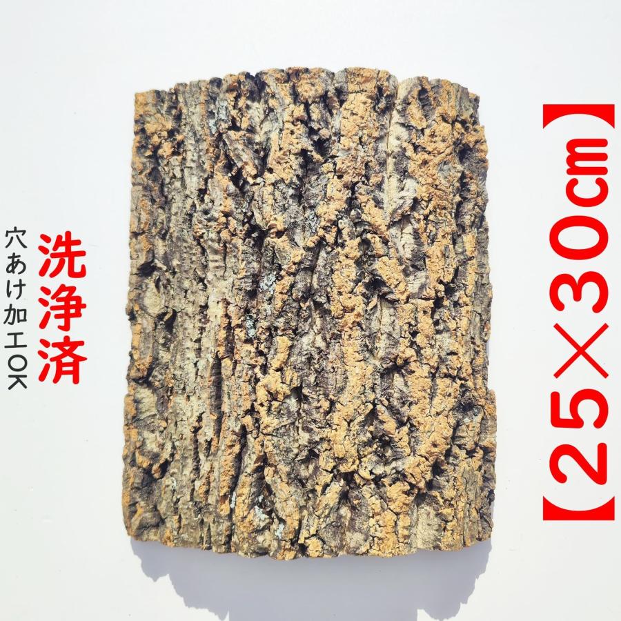 1枚 25×30cm コルク樹皮 コルク板 バージンコルク チランジア