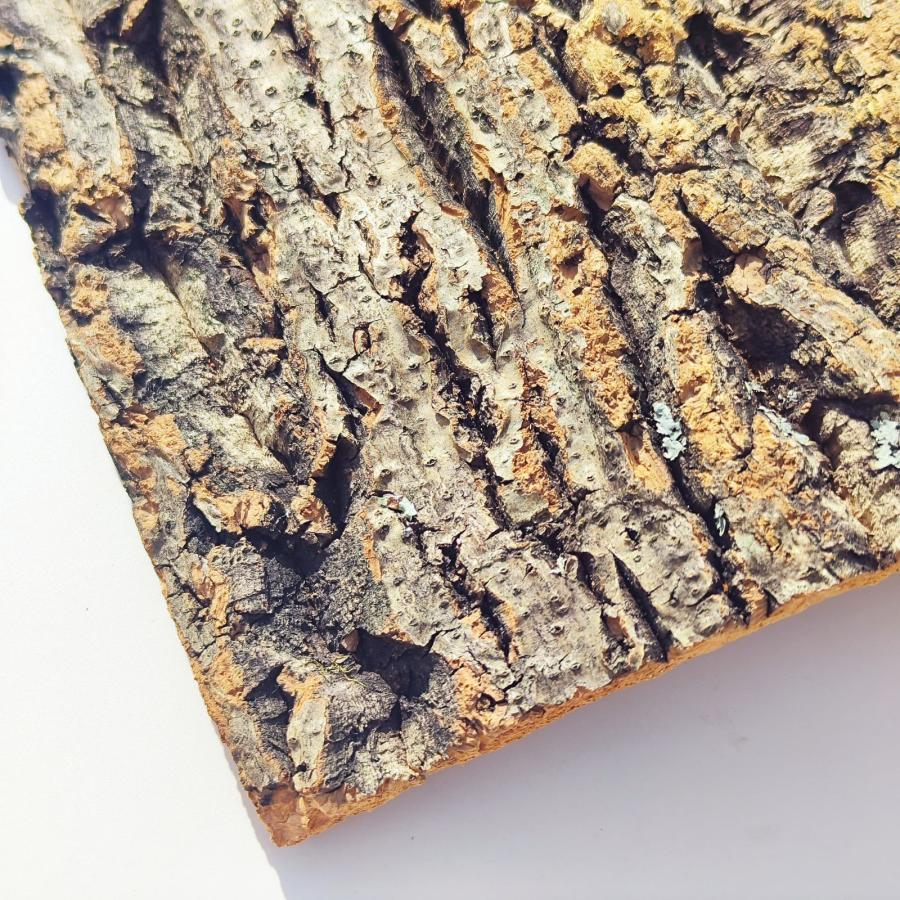 お任せ 25×30cm コルク樹皮 コルク板 バージンコルク チランジア