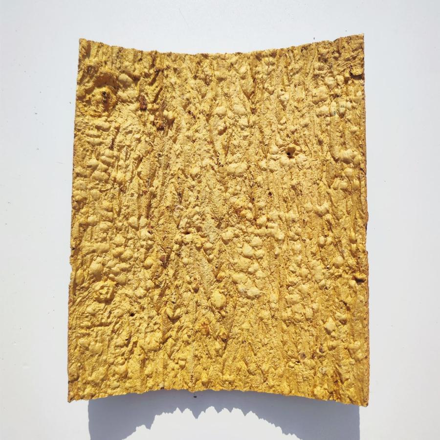 お任せ 25×30cm コルク樹皮 コルク板 バージンコルク チランジア
