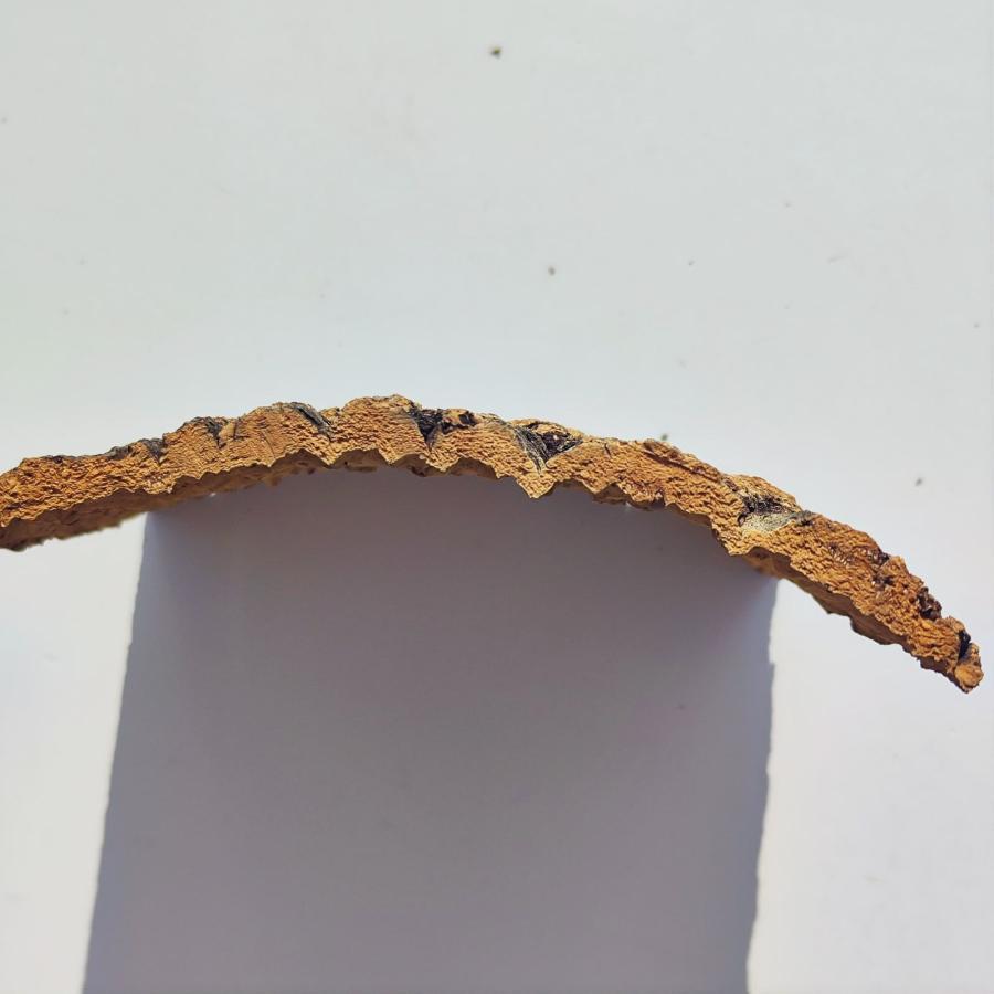 お任せ 25×30cm コルク樹皮 コルク板 バージンコルク チランジア