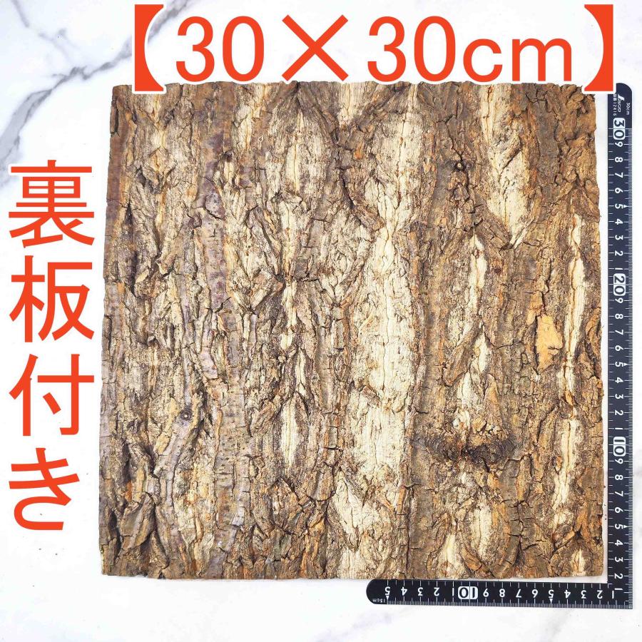 1枚 30×30cm 裏板付き コルク樹皮 コルク板 バージンコルク 着生 1枚 30×30cm 裏板付き コルク樹皮 コルク板 バージンコルク 着生