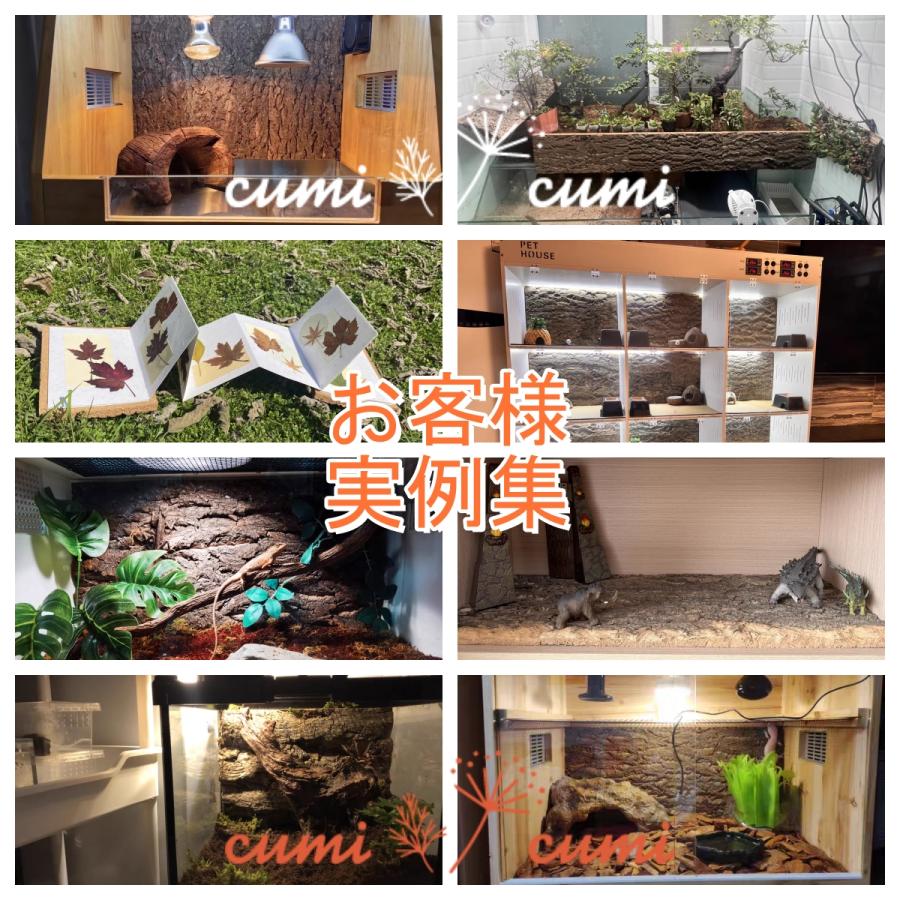 1枚 30×30cm 裏板付き コルク樹皮 コルク板 バージンコルク 着生 1枚 30×30cm 裏板付き コルク樹皮 コルク板 バージンコルク 着生
