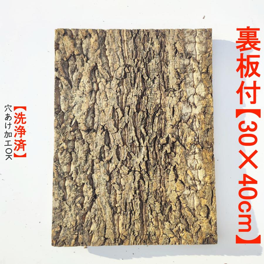 お任せ1枚 30×40cm 裏板付き コルク樹皮 コルク板 バージンコルク
