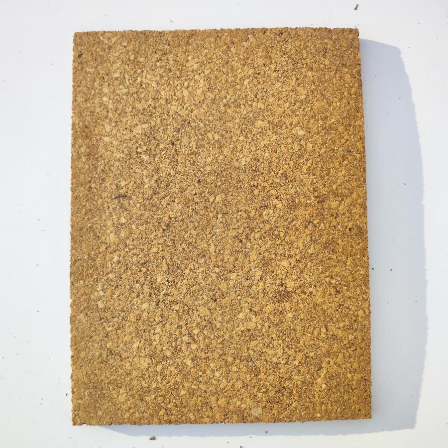 1枚 30×40cm 裏板付き コルク樹皮 コルク板 バージンコルク チランジア