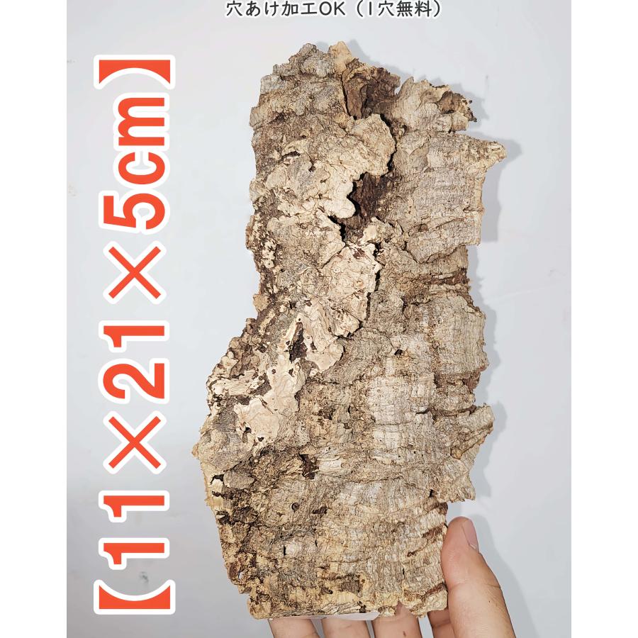 251020 ポルトガル産 キャノンコルク コルク樹皮 コルク板バージンコルク